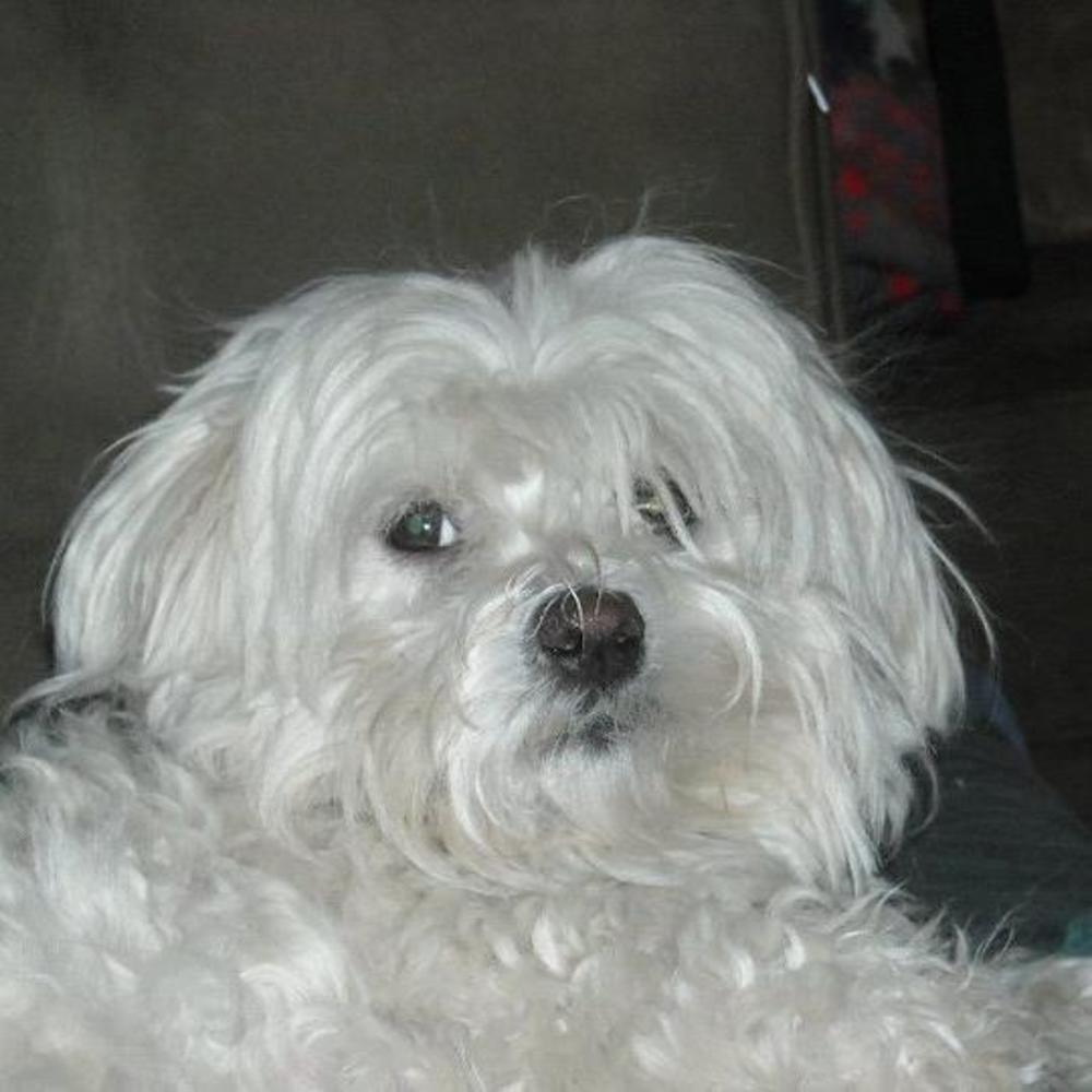 Meet your Posher, Sheryl